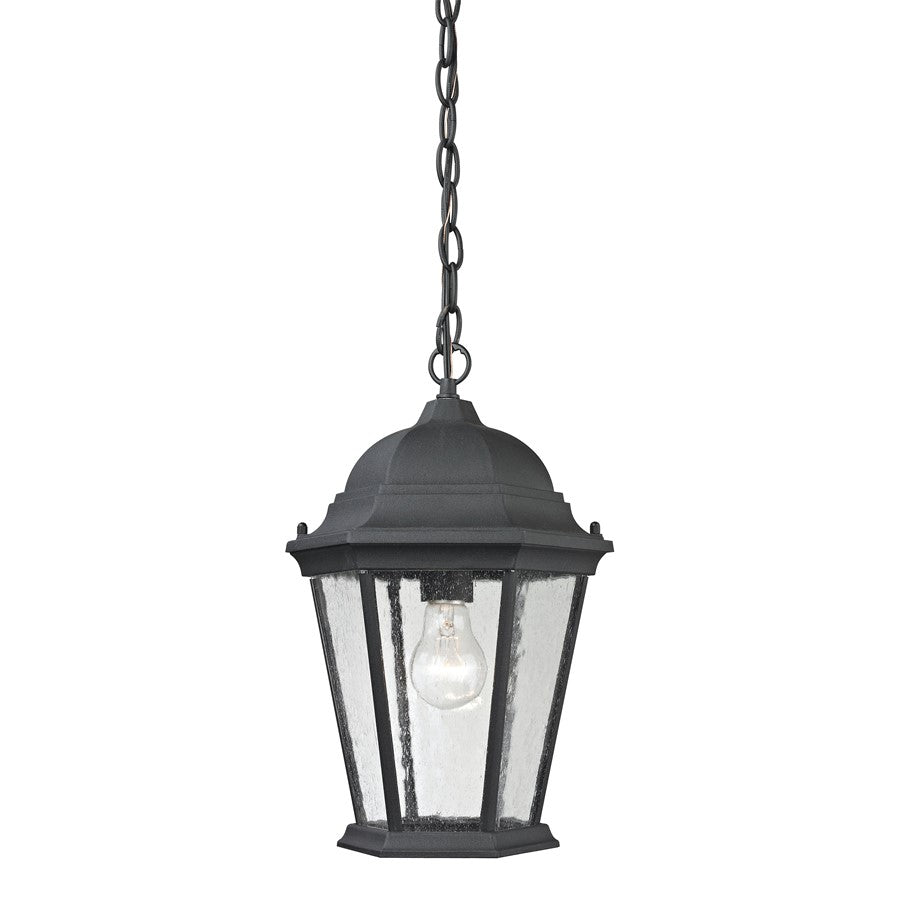 Atlas Lighting Temple Hill 10in 1-Light Outdoor Pendant | Traditional Matte Black and Clear Seeded Glass | Covered Patio | Model OL11047-BK