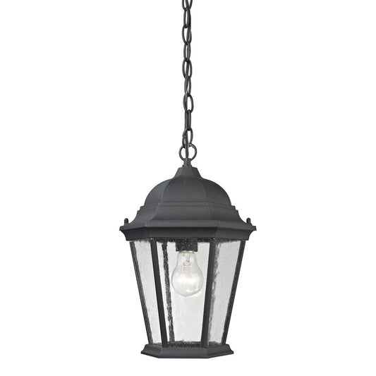 Atlas Lighting Temple Hill 10in 1-Light Outdoor Pendant | Traditional Matte Black and Clear Seeded Glass | Covered Patio | Model OL11047-BK