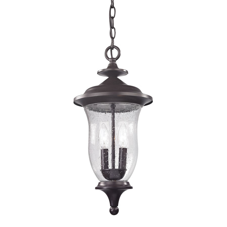 Atlas Lighting Trinity 9in 2-Light Outdoor Pendant | Traditional Oil Rubbed Bronze and Clear Seeded Glass | Covered Patio | Model OL11048-BZ