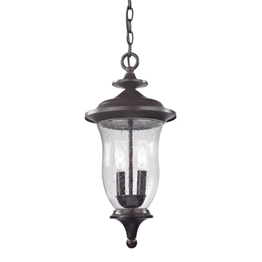 Atlas Lighting Trinity 9in 2-Light Outdoor Pendant | Traditional Oil Rubbed Bronze and Clear Seeded Glass | Covered Patio | Model OL11048-BZ
