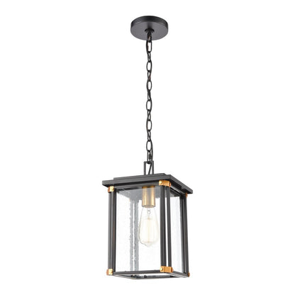 Atlas Lighting Vincentown 8in 1-Light Outdoor Pendant | Transitional Matte Black and Brushed Brass with Clear Seeded Glass | Model OL11050-BK