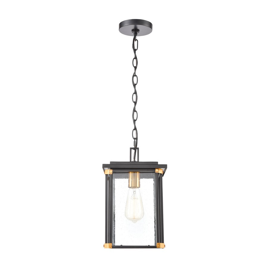Atlas Lighting Vincentown 8in 1-Light Outdoor Pendant | Transitional Matte Black and Brushed Brass with Clear Seeded Glass | Model OL11050-BK