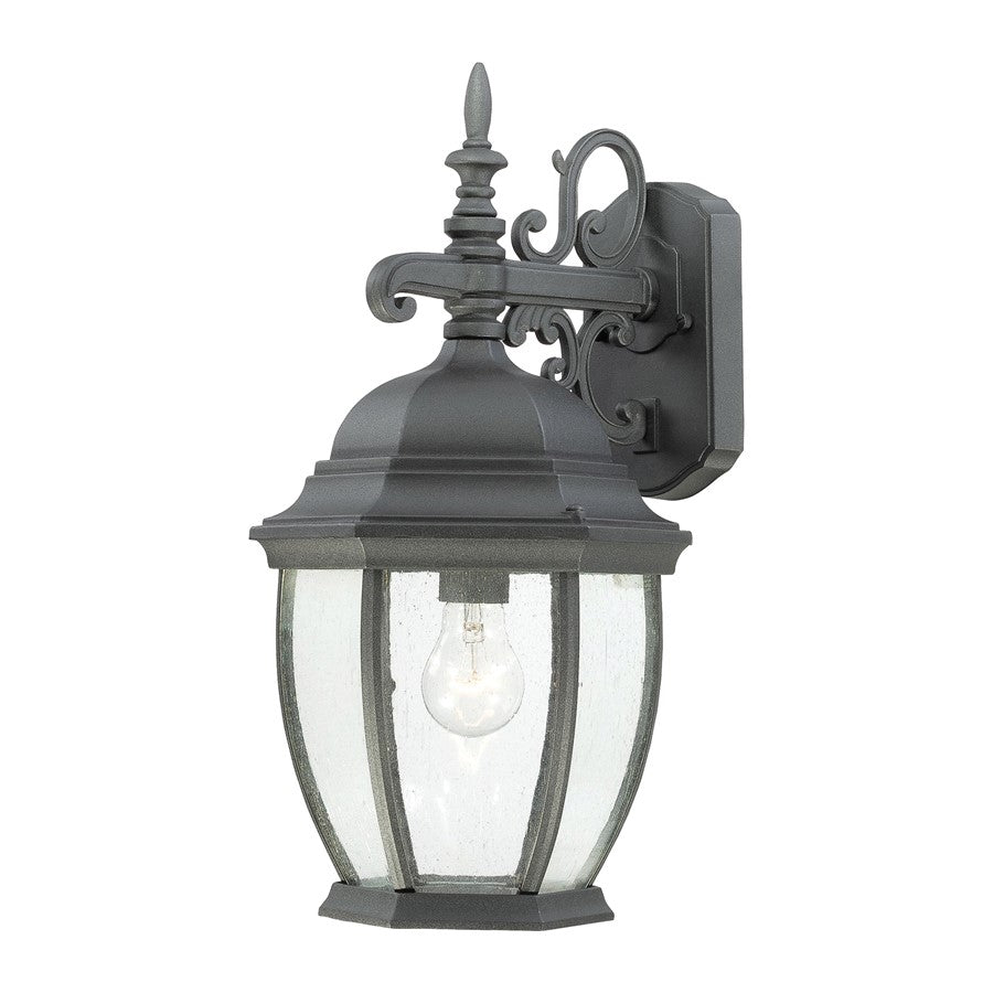 Atlas Lighting Covington 18in 1-Light Outdoor Sconce | Traditional Black and Clear Seeded Glass | Porch & Entryway | Model OL11107-BK