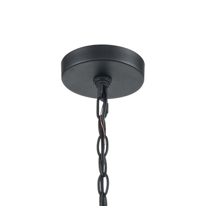 Atlas Lighting Torch 26'' Wide 6Lt Outdoor Pendant, Black/Clear