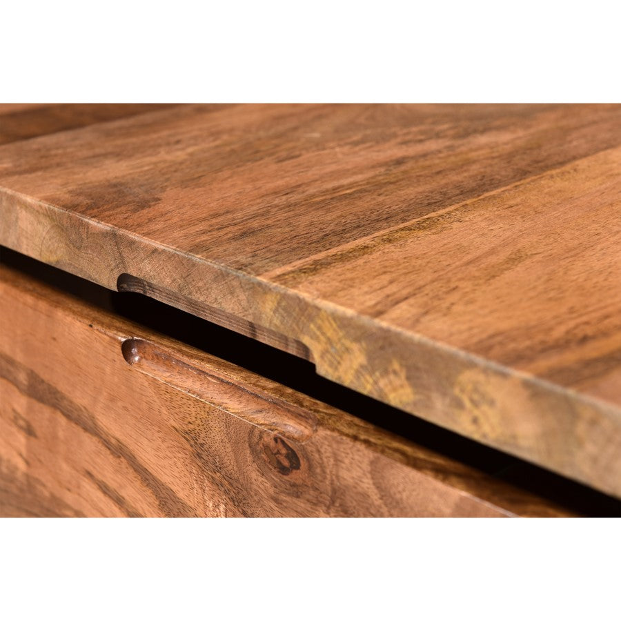 Atlas Lighting Carey Coffee Table 30in | Transitional Natural Mango Wood and Black Metal | Living Room Storage Coffee Table | Model TA11035-01