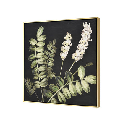 Atlas Lighting Botanical Study II 24.75in Square Framed Wall Art | Transitional Green and Black Fabric with Gold Frame | Living | Model WA11021-02