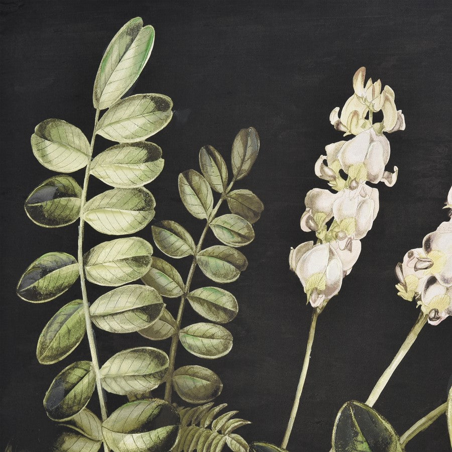 Atlas Lighting Botanical Study II 24.75in Square Framed Wall Art | Transitional Green and Black Fabric with Gold Frame | Living | Model WA11021-02