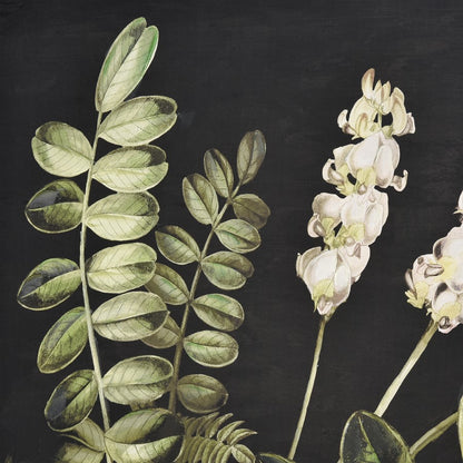 Atlas Lighting Botanical Study II 24.75in Square Framed Wall Art | Transitional Green and Black Fabric with Gold Frame | Living | Model WA11021-02