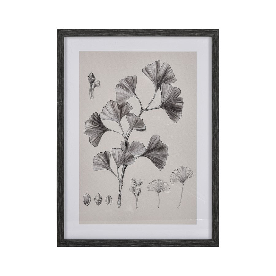 Atlas Lighting Foliage II 18x24in Framed Wall Art | Ivory Fabric on Black Wood Frame | Living Room & Bedroom Decor | Model WA11051-02