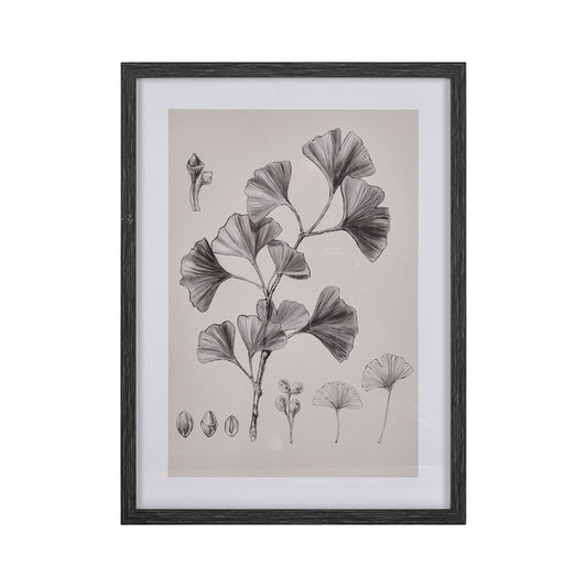 Atlas Lighting Foliage II 18x24in Framed Wall Art | Ivory Fabric on Black Wood Frame | Living Room & Bedroom Decor | Model WA11051-02