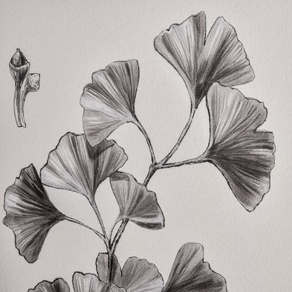 Atlas Lighting Foliage II 18x24in Framed Wall Art | Ivory Fabric on Black Wood Frame | Living Room & Bedroom Decor | Model WA11051-02
