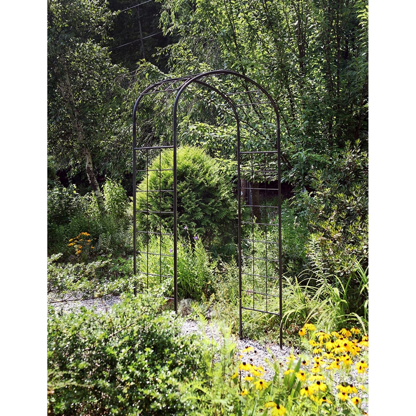 ACHLA Monet Arbor | Wrought Iron Garden Arch with Graphite Powder Coat | Entryway & Vine Support for Gardens | 55W x 21D x 100H in | Model ARB-10