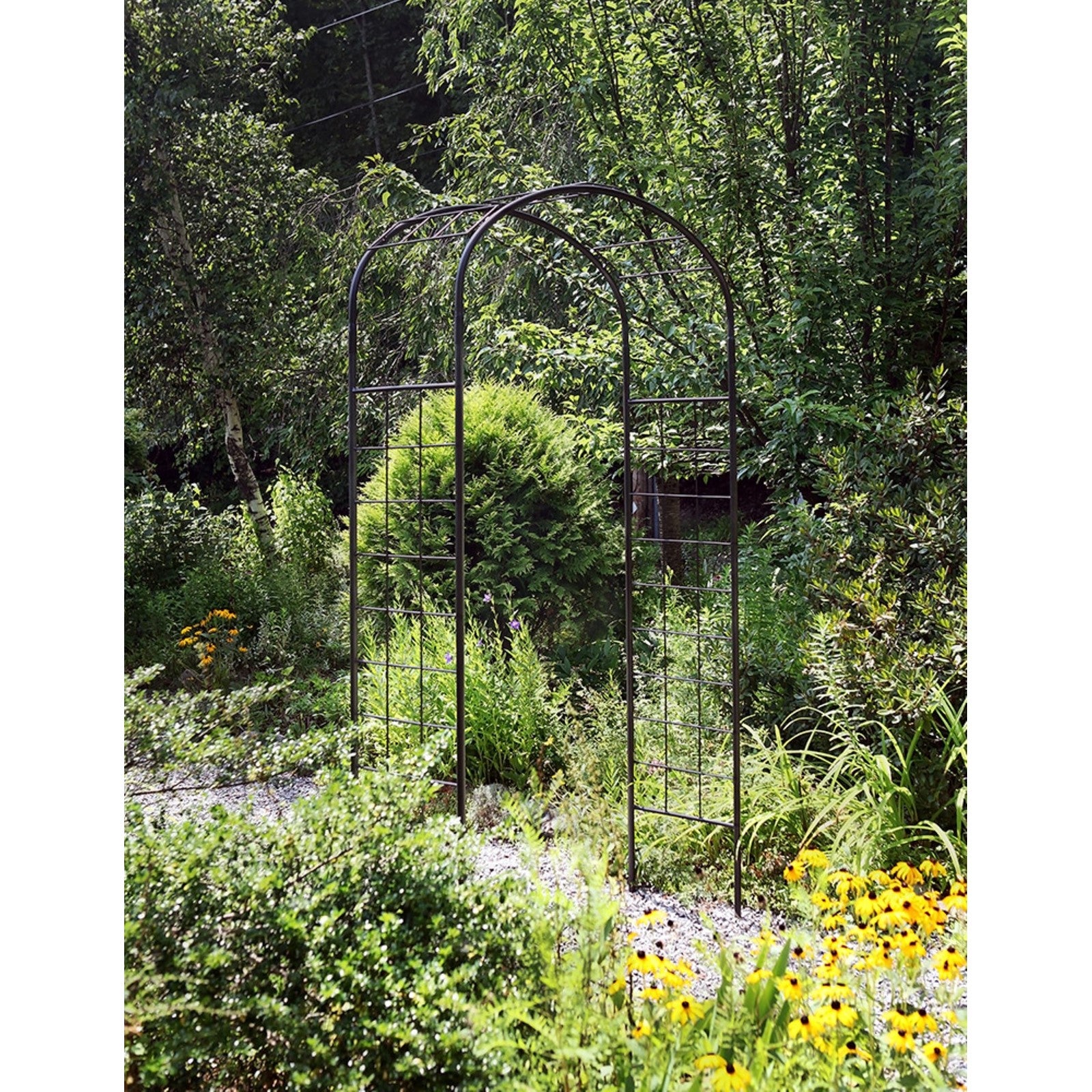 ACHLA Monet Arbor | Wrought Iron Garden Arch with Graphite Powder Coat | Entryway & Vine Support for Gardens | 55W x 21D x 100H in | Model ARB-10