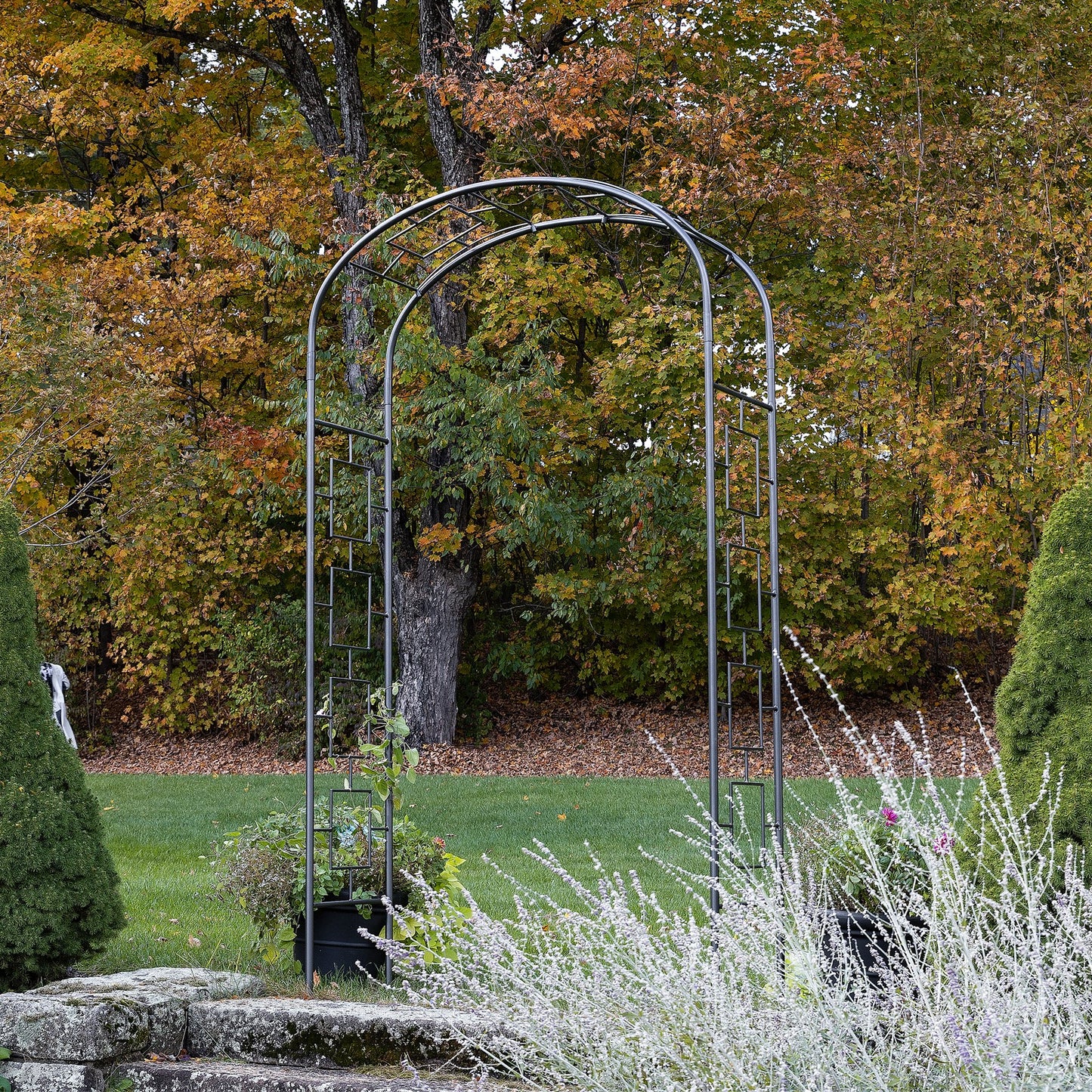 ACHLA Modern Arbor ARB-11 | Wrought Iron Garden Arbor | Entryway & Vine Support | 55W x 21D x 100H in, Graphite Powder Coated | Model ARB-11