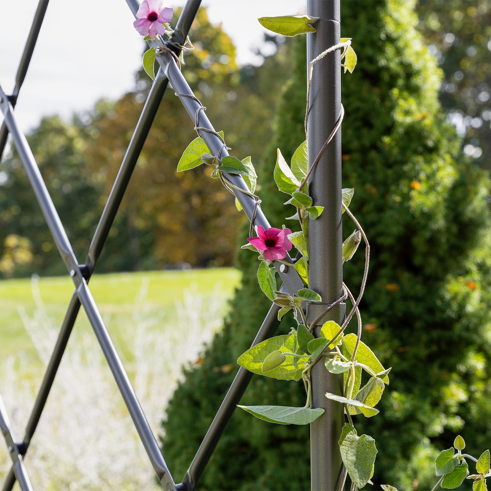 ACHLA Lattice Tunnel Arbor | Graphite Powdercoated Wrought Iron | Garden Entrance & Rose Walk Archway | 33 x 64 x 106 in | Model ARB-32G