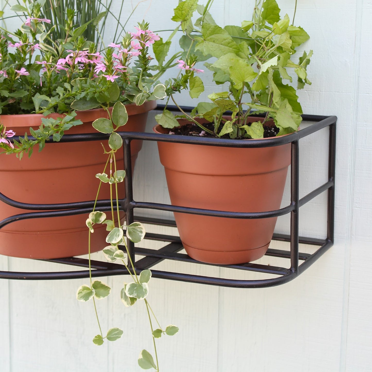 ACHLA Argyle Window Box | Black Wrought Iron | Outdoor Flower Pot Holder for Windows & Balconies | 14 x 30 x 8 in | Model B-50
