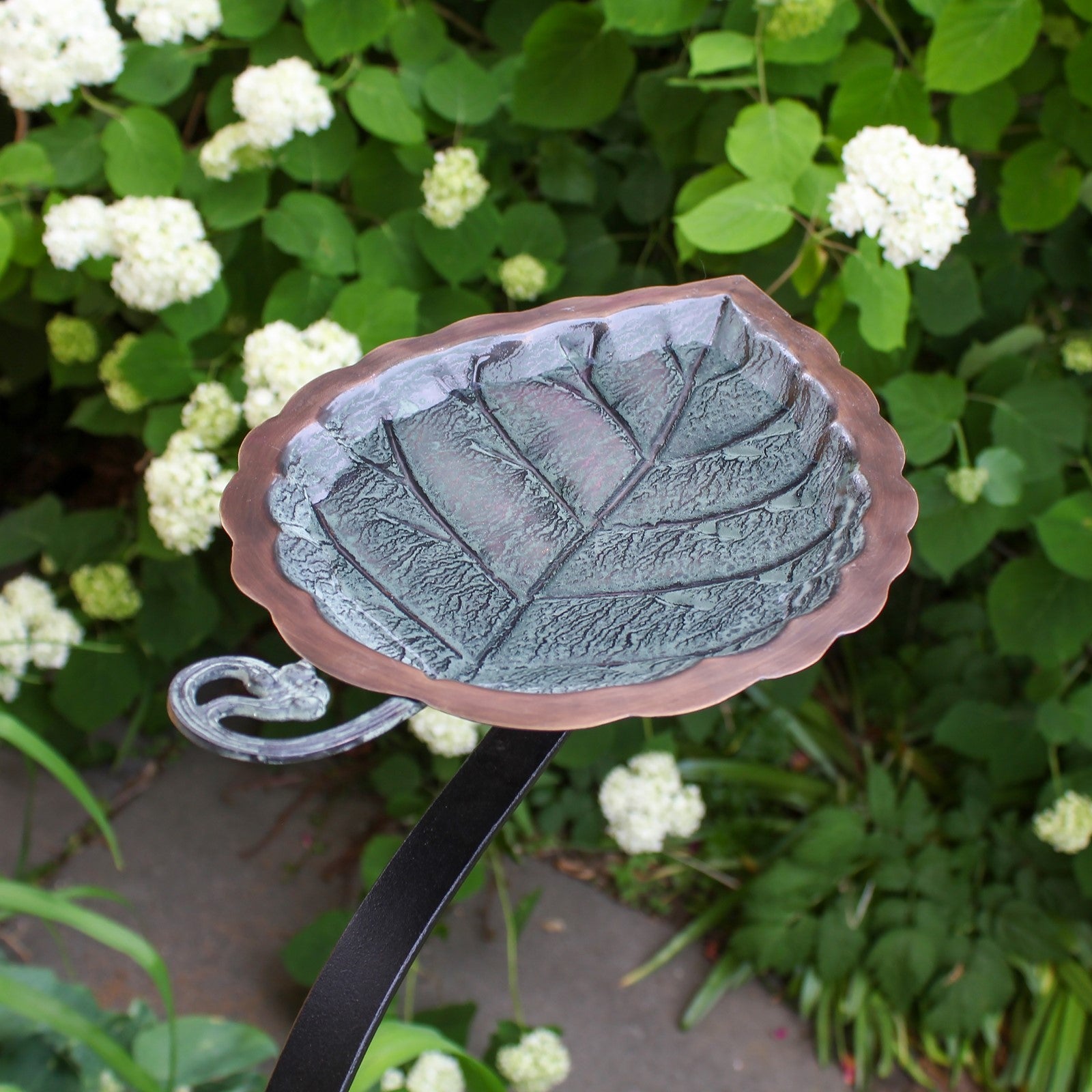 ACHLA Aspen Leaf Rail-Mount Birdbath | Antique Brass Plated and Verdigris Copper Bowl | Outdoor Deck & Balcony Accent | Model BB-04-RM