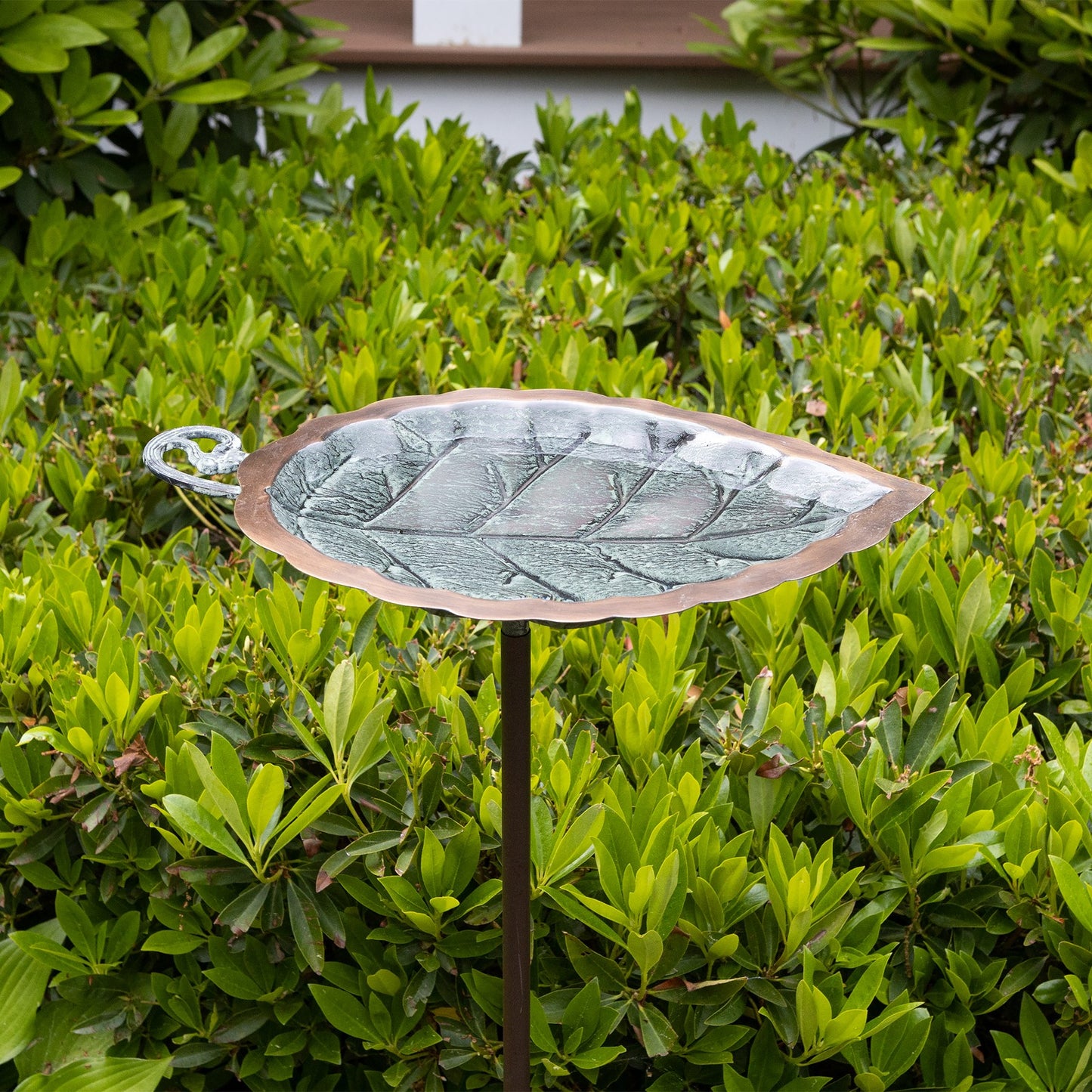 ACHLA Aspen Leaf Birdbath with Stand | Antique Brass and Verdi Finish Brass | Outdoor Garden & Patio Accent | 12.5 x 8.5 x 3 in | Model BB-04-S