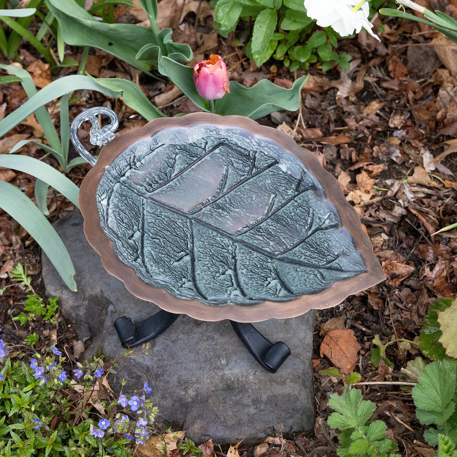 ACHLA Aspen Leaf Birdbath with Tripod Stand | Antique Brass Plated Brass and Black Wrought Iron | Garden Patio & Deck Accent | Model BB-04-TR