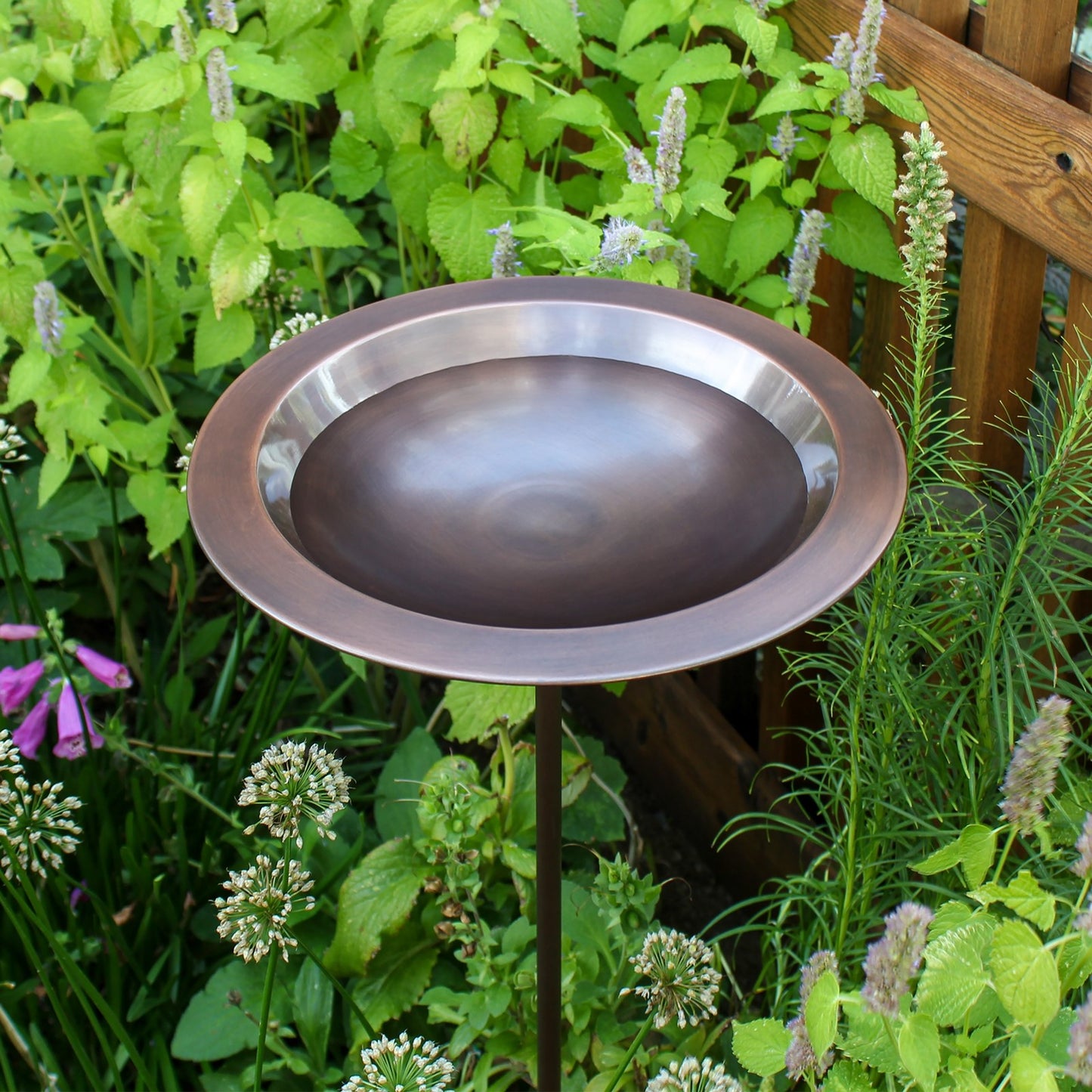 ACHLA Classic II Birdbath with Stand | Copper Antique Finish | Garden & Patio Accent | 12.75 x 12.75 x 3 in | Model BB-05-S