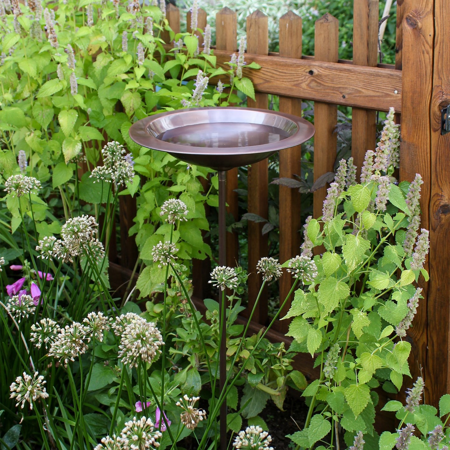 ACHLA Classic II Birdbath with Stand | Copper Antique Finish | Garden & Patio Accent | 12.75 x 12.75 x 3 in | Model BB-05-S