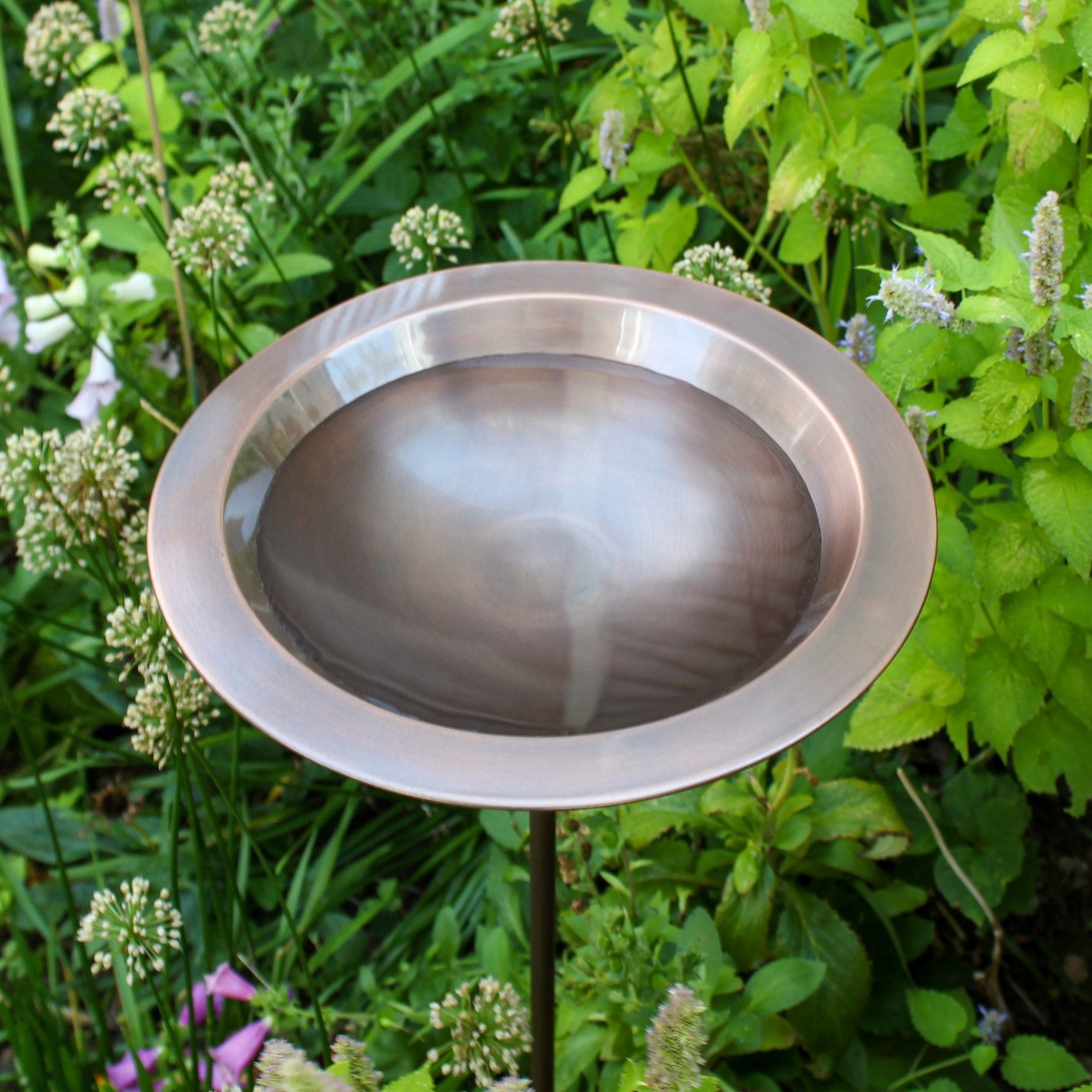 ACHLA Classic II Birdbath with Stand | Copper Antique Finish | Garden & Patio Accent | 12.75 x 12.75 x 3 in | Model BB-05-S