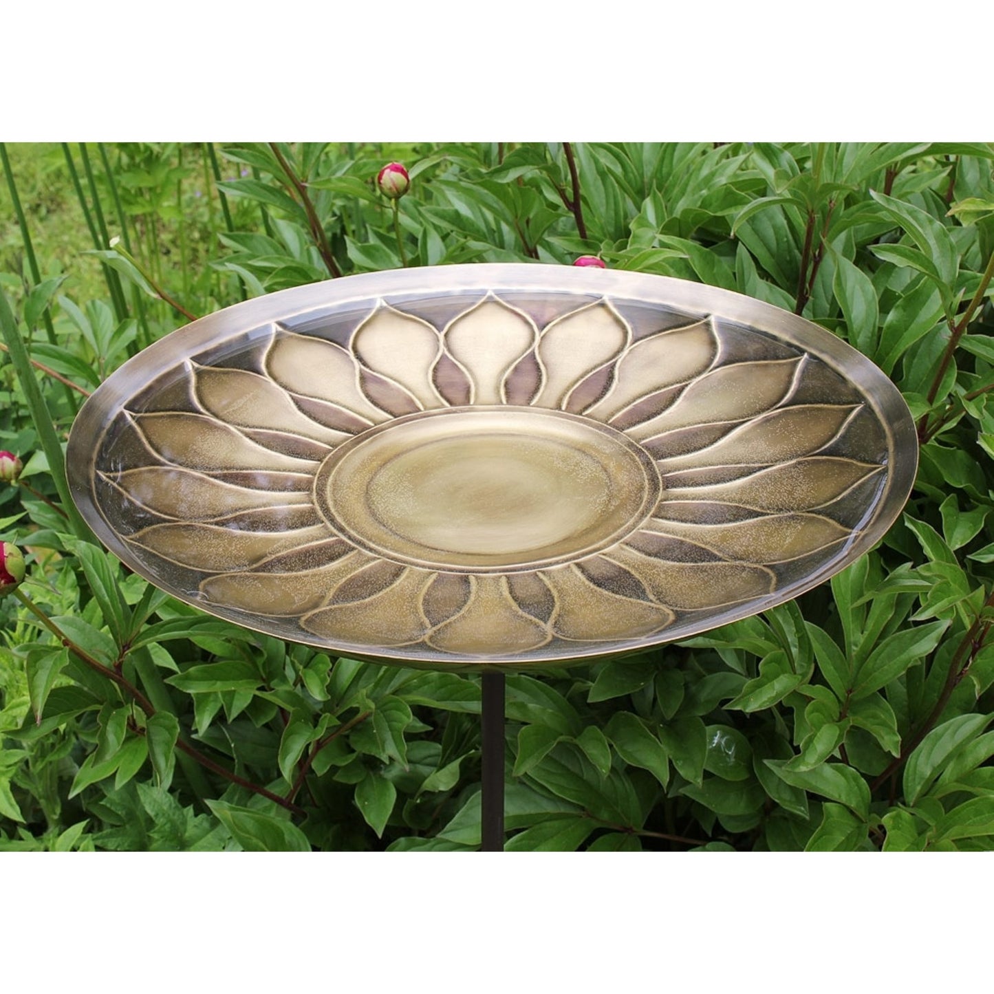 ACHLA African Daisy Birdbath with Stake | Antique Brass & Patina Brass Bowl on Wrought Iron | Garden & Patio Water Feature | Model BB-09-S