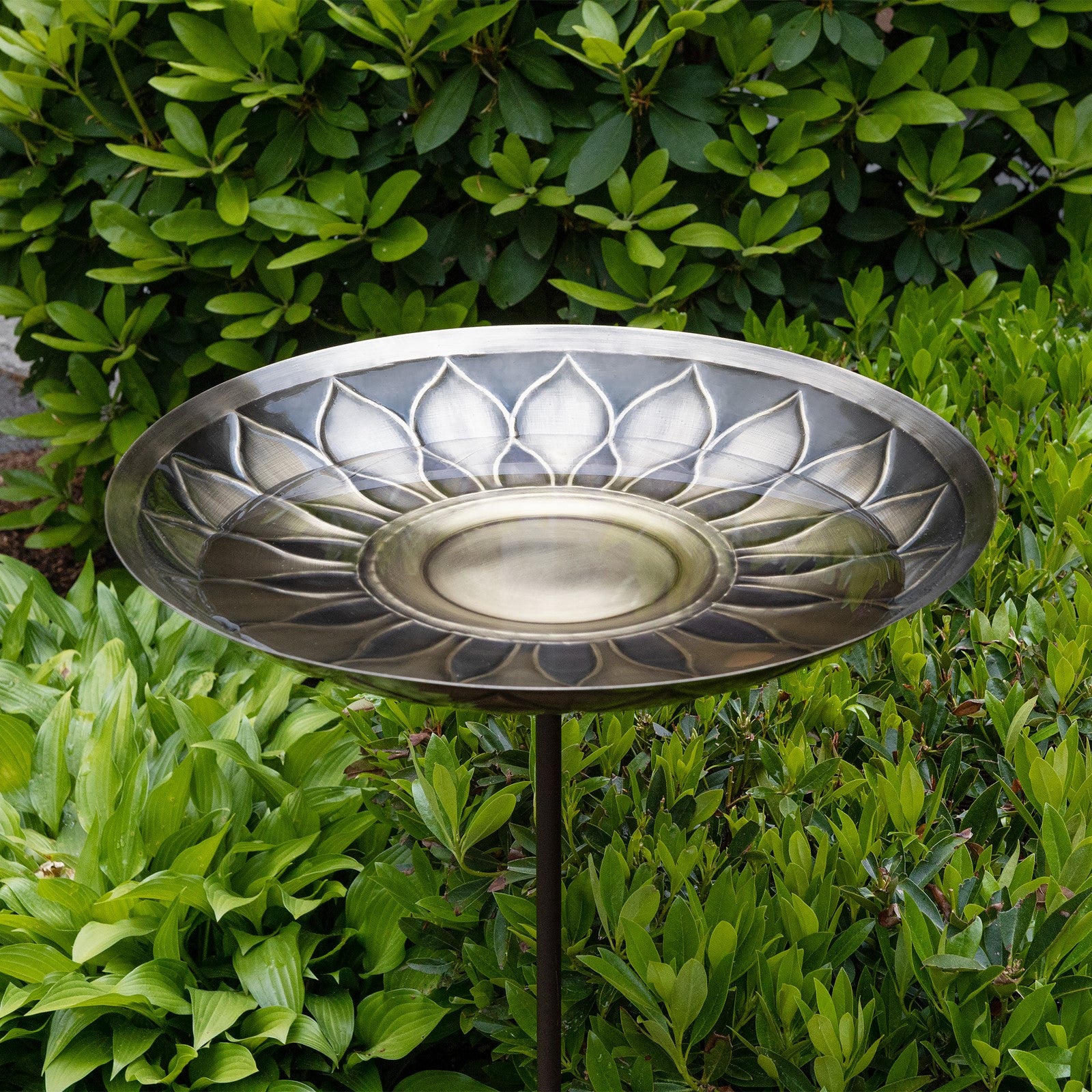 ACHLA African Daisy Birdbath with Stake | Antique Brass & Patina Brass Bowl on Wrought Iron | Garden & Patio Water Feature | Model BB-09-S