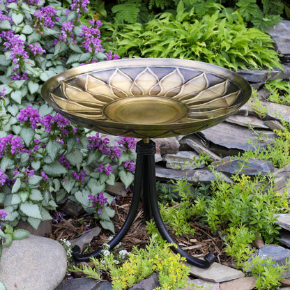 ACHLA African Daisy Birdbath Tripod Stand | Antique Patina Brass Bowl & Black Wrought Iron Base | Garden & Patio Accent | Model BB-09-TR2