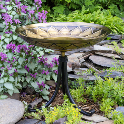 ACHLA African Daisy Birdbath Tripod Stand | Antique Patina Brass Bowl & Black Wrought Iron Base | Garden & Patio Accent | Model BB-09-TR2