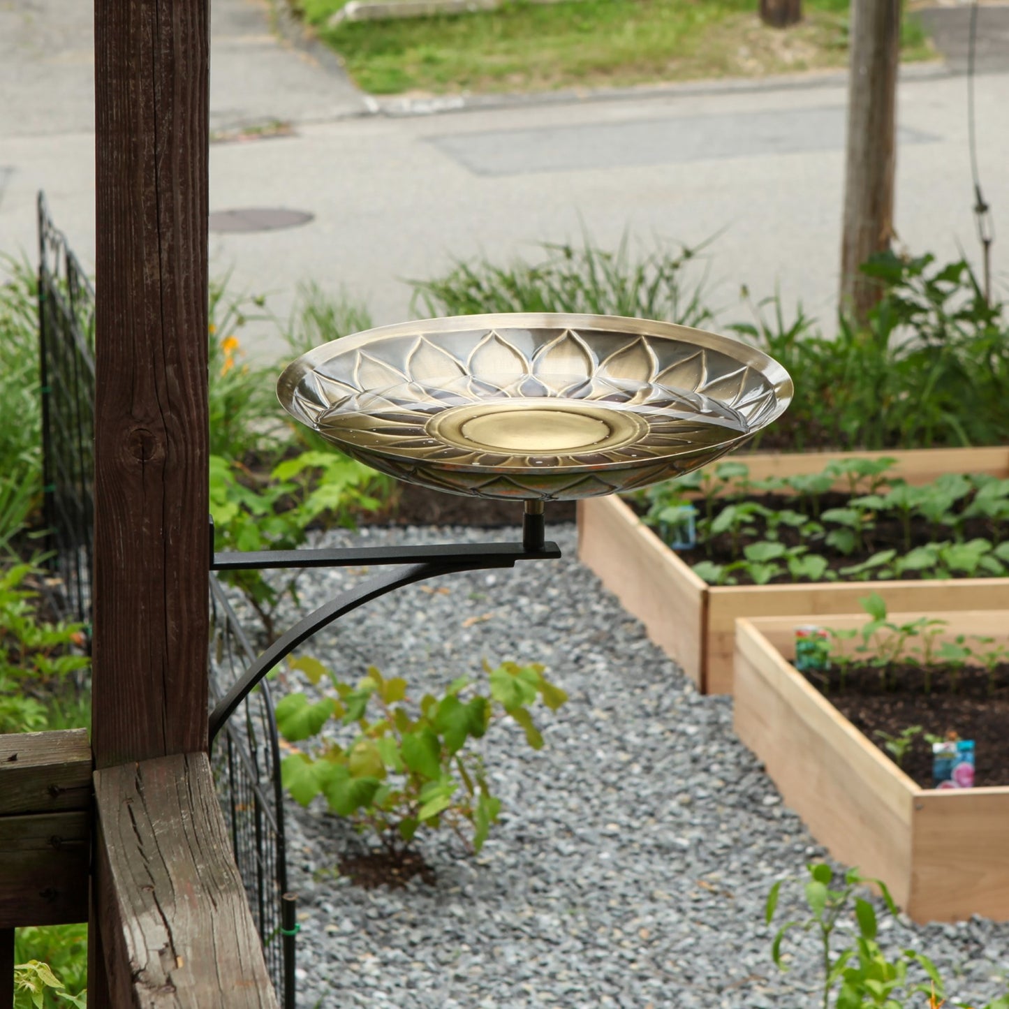 ACHLA African Daisy Birdbath Wall Mount Bracket | Antique Patina Brass Bowl and Black Wrought Iron | Porch & Deck Garden Accent | Model BB-09-WM2