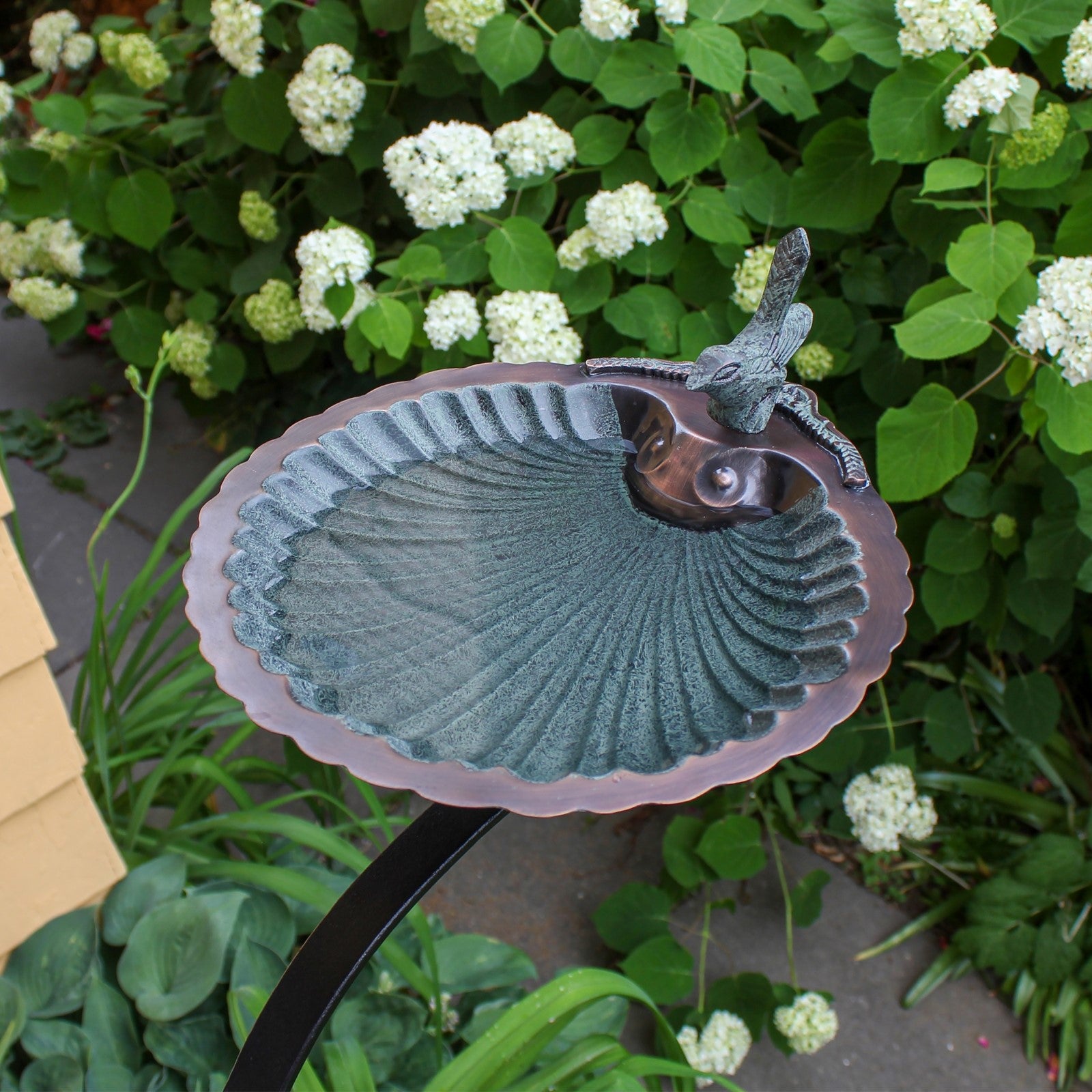 ACHLA Scallop Shell Birdbath Rail Mount | Antique Brass and Verdigris Patina Brass | Deck, Balcony & Porch Bird Bath | Model BBM-01-RM