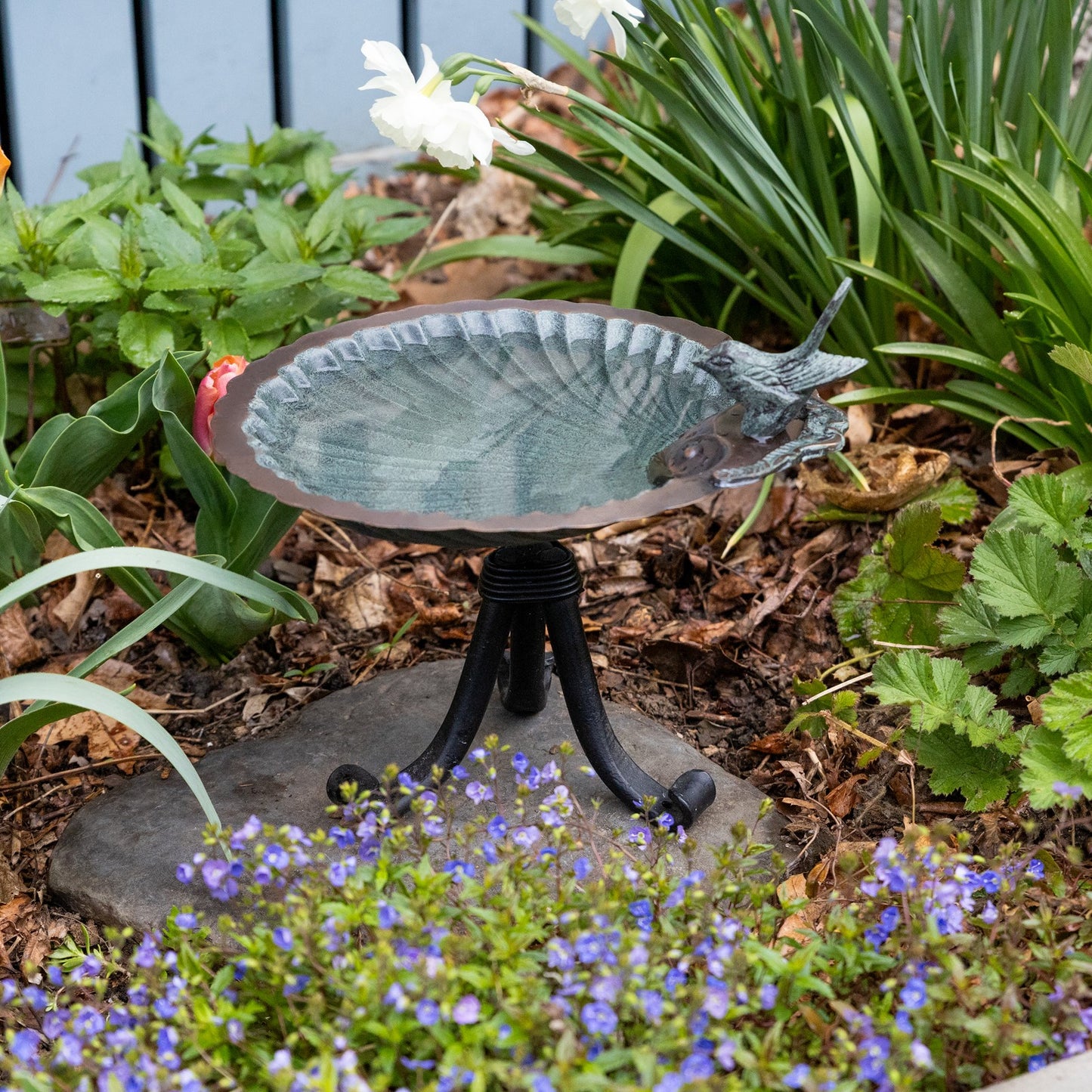 ACHLA Scallop Shell Birdbath with Tripod Stand | Antique Brass Plated Brass and Wrought Iron | Garden & Patio Bird Bath | Model BBM-01-TR