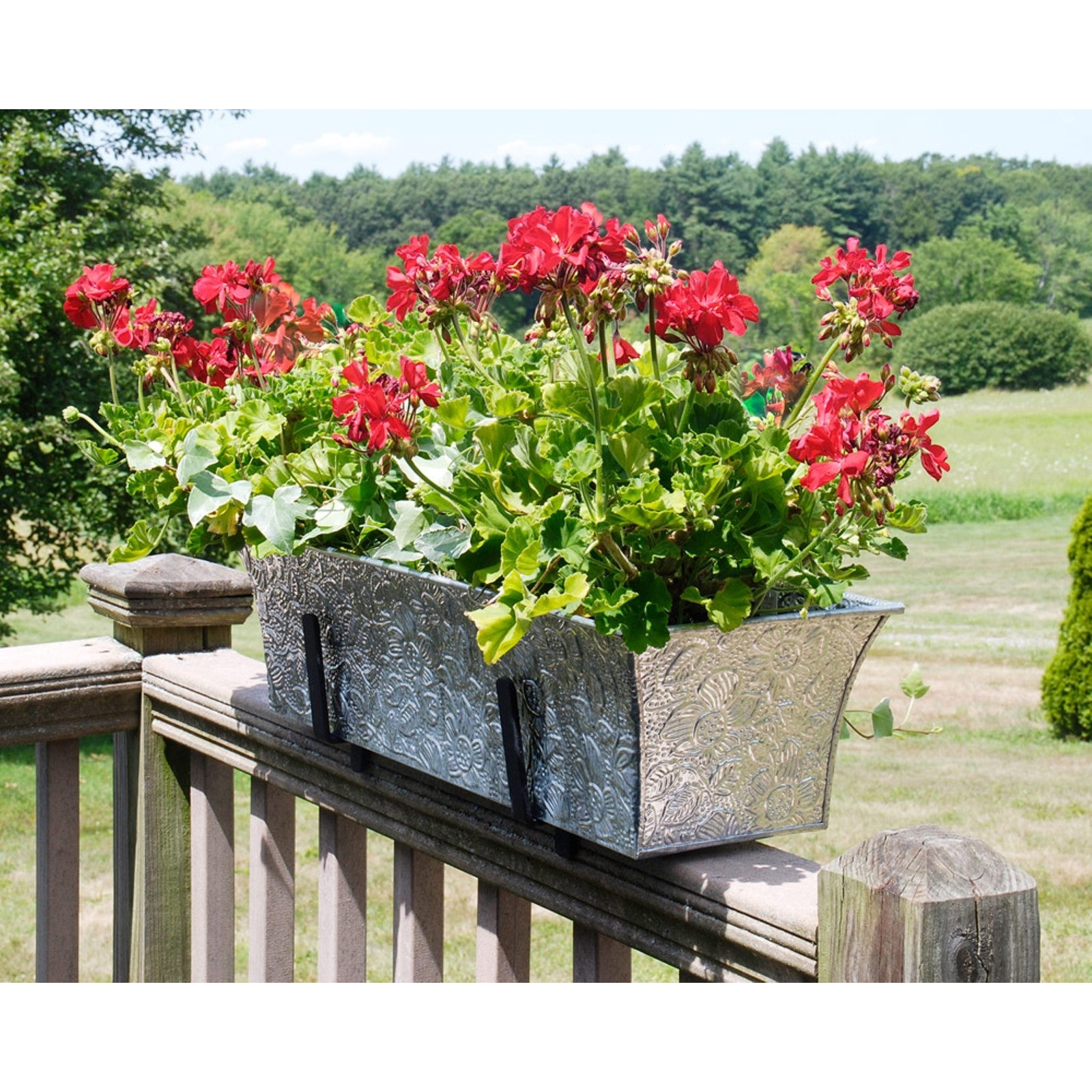 ACHLA Deck Bracket I Wrought Iron Flower Box Bracket | Black Wrought Iron | Deck & Patio Railing Planter Support | 6.25 x 5 in | Model BGK-13