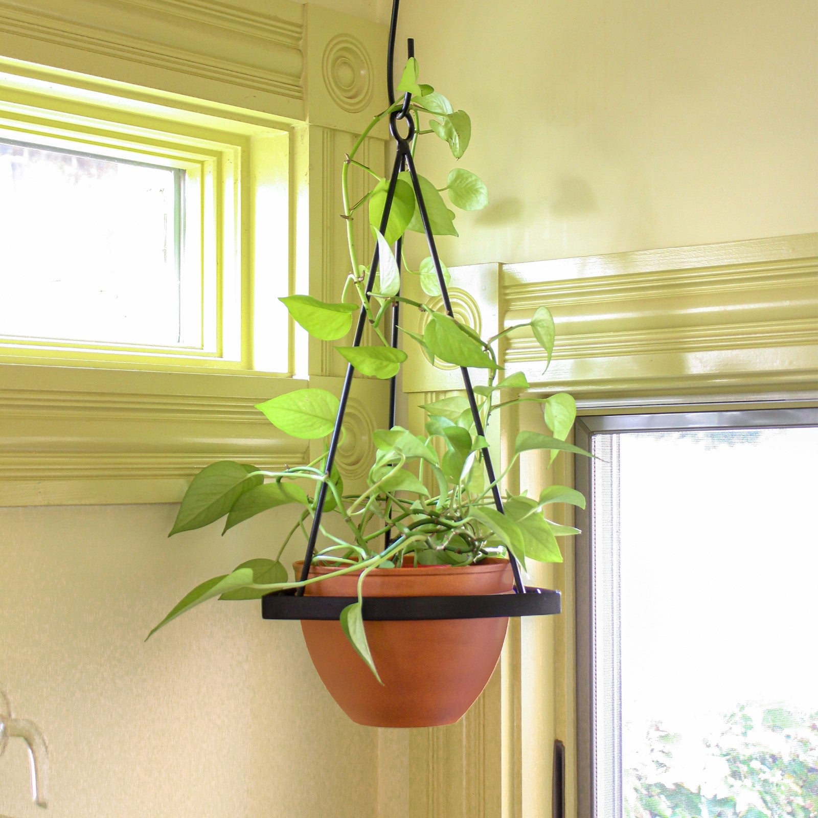 ACHLA Lina Hanging Planter I | Minimalist Burnt Sienna Galvanized Steel and Black Wrought Iron | Indoor & Outdoor Container Garden | Model BH-01-63BS
