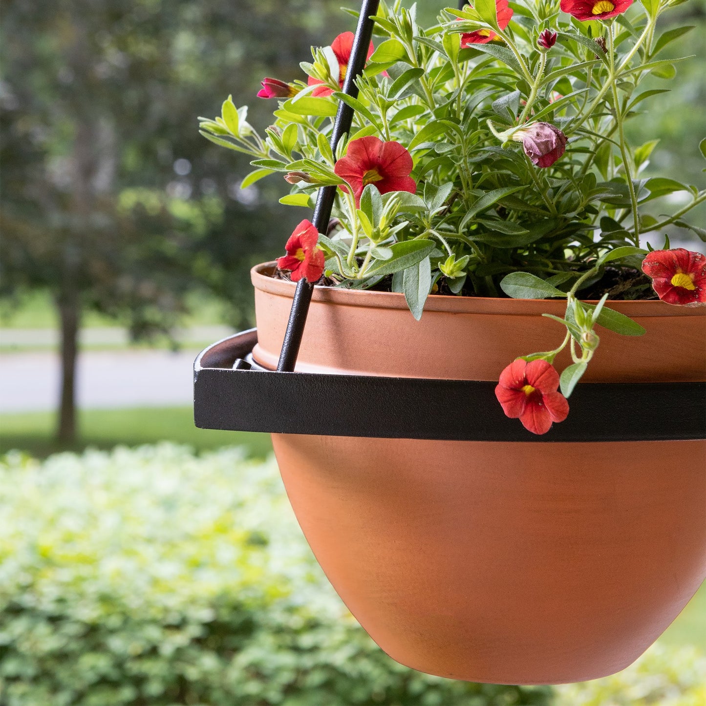 ACHLA Lina Hanging Planter I | Minimalist Burnt Sienna Galvanized Steel and Black Wrought Iron | Indoor & Outdoor Container Garden | Model BH-01-63BS