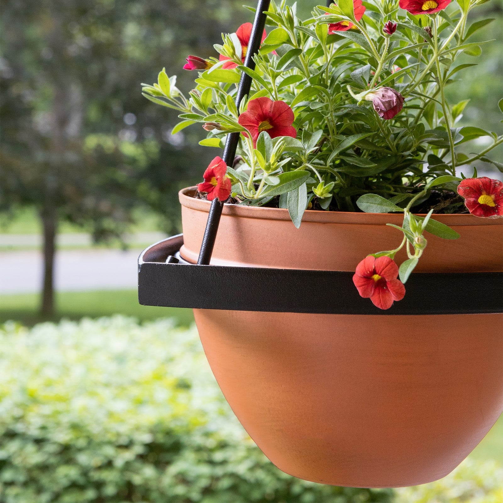 ACHLA Lina Hanging Planter I | Minimalist Burnt Sienna Galvanized Steel and Black Wrought Iron | Indoor & Outdoor Container Garden | Model BH-01-63BS