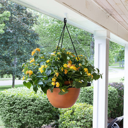 ACHLA Lina Hanging Planter II | Burnt Sienna Galvanized Steel and Black Wrought Iron | Indoor & Outdoor Container Garden | Model BH-02-64BS