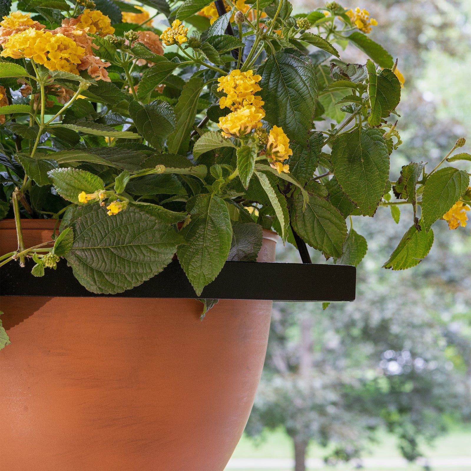 ACHLA Lina Hanging Planter II | Burnt Sienna Galvanized Steel and Black Wrought Iron | Indoor & Outdoor Container Garden | Model BH-02-64BS