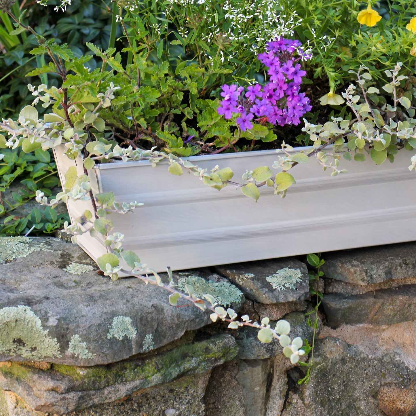 ACHLA Galvanized Steel Flower Box Planter Small 22in | Classic Cape Cod White | Window Box & Balcony Container Garden | 22 x 6 x 5 in | Model C-08W