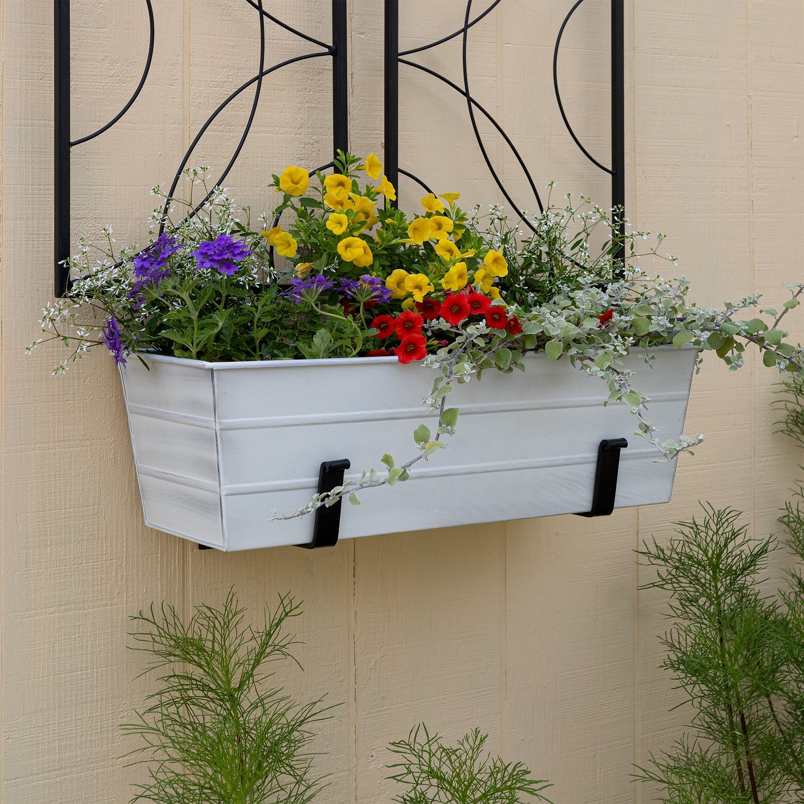 ACHLA Medium Flower Box with Wall Brackets | Cape Cod White Galvanized Steel and Black Wrought Iron | Front Porch & Balcony Planter | Model C-20W-WM