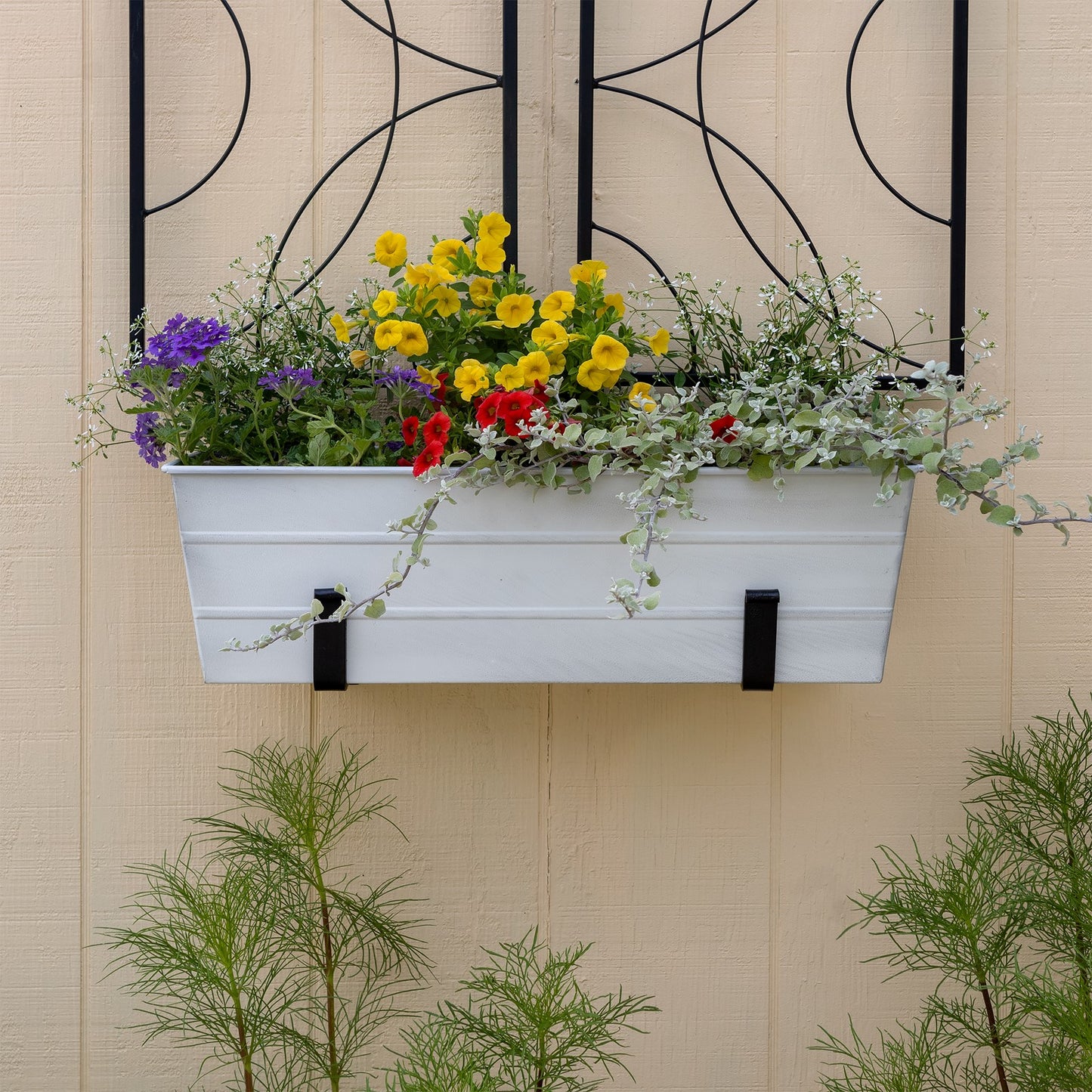 ACHLA Medium Flower Box with Wall Brackets | Cape Cod White Galvanized Steel and Black Wrought Iron | Front Porch & Balcony Planter | Model C-20W-WM