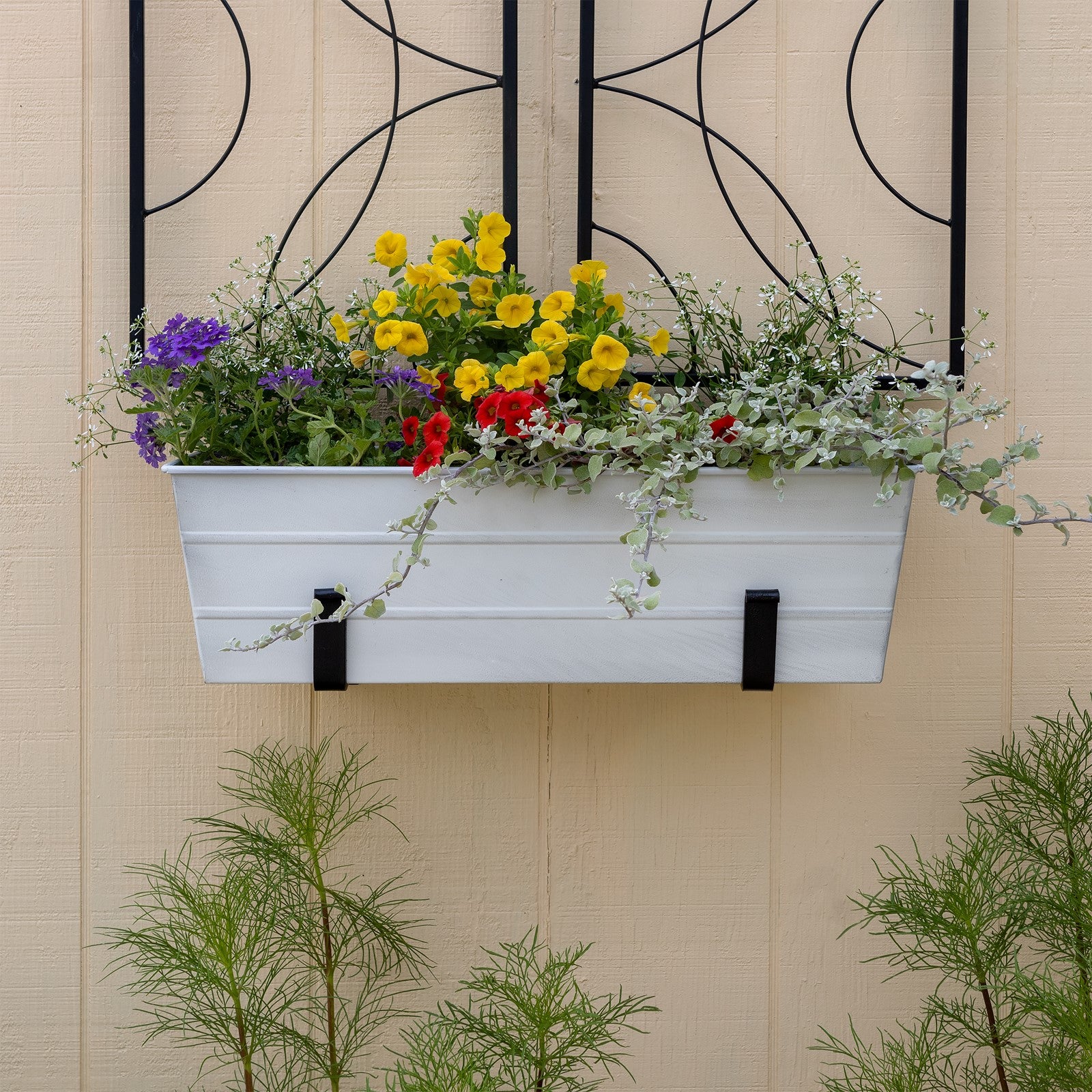 ACHLA Medium Flower Box with Wall Brackets | Cape Cod White Galvanized Steel and Black Wrought Iron | Front Porch & Balcony Planter | Model C-20W-WM