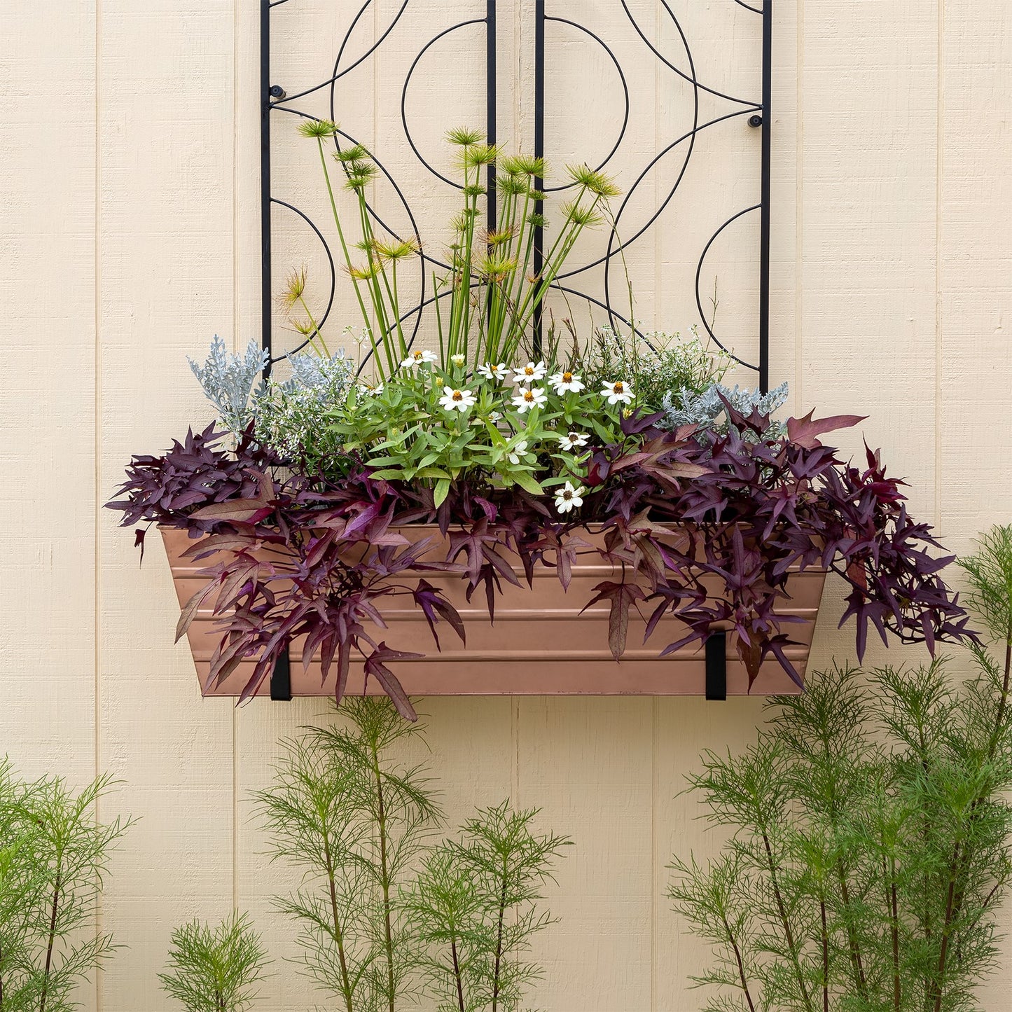 ACHLA Large Copper Flower Box with Wall Brackets | Rustic Copper Plated Galvanized Steel and Black Wrought Iron | Front Porch & | Model C-21C-WM
