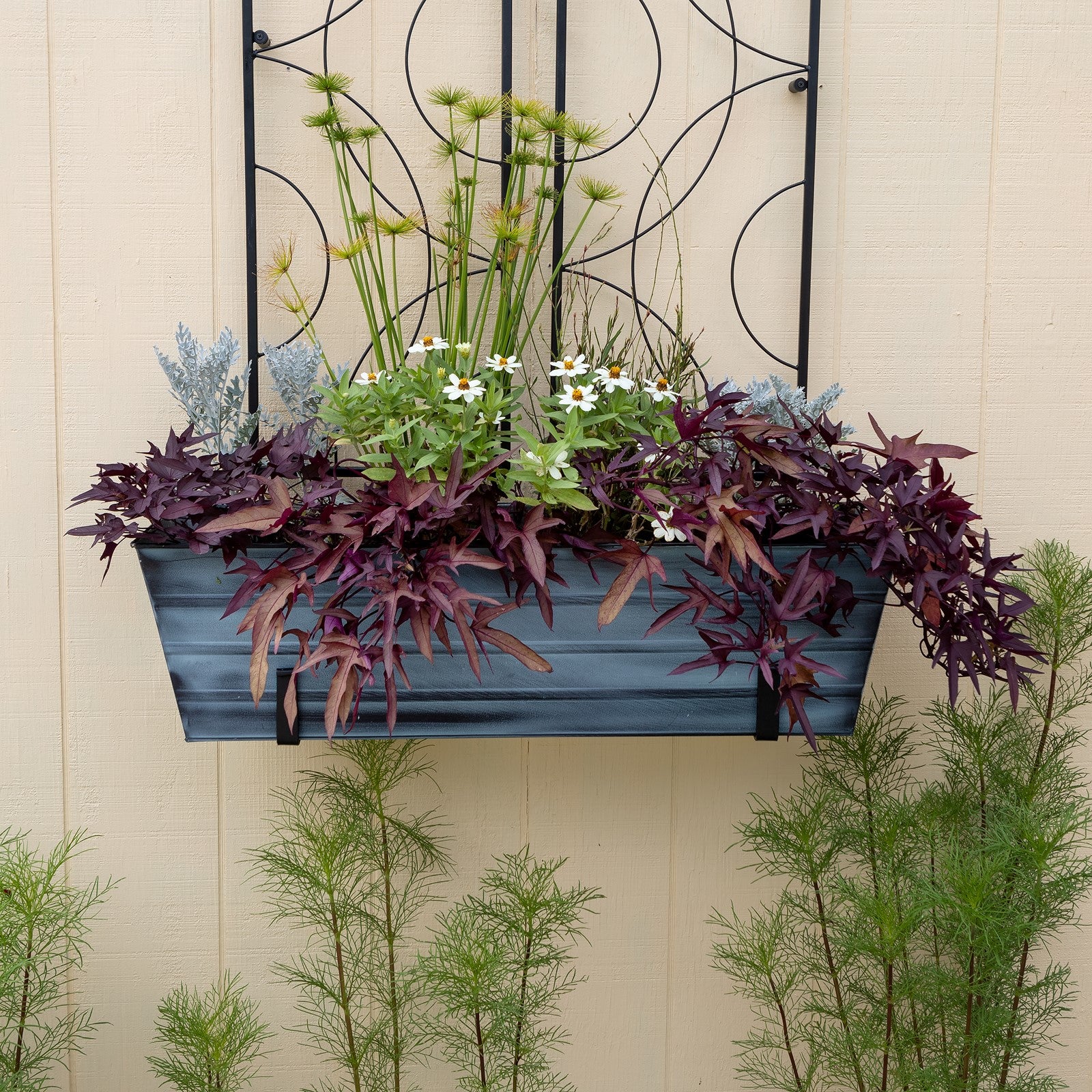 ACHLA Large Flower Box with Wall Brackets | Nantucket Blue Galvanized Steel and Black Wrought Iron | Front Porch & Balcony Container | Model C-21NB-WM