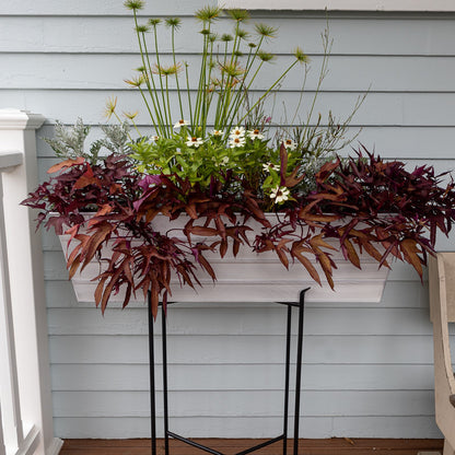 ACHLA Galvanized Steel Large Flower Box Planter | Cape Cod White Rolled Edge | Window Box & Balcony Container Garden | Model C-21W