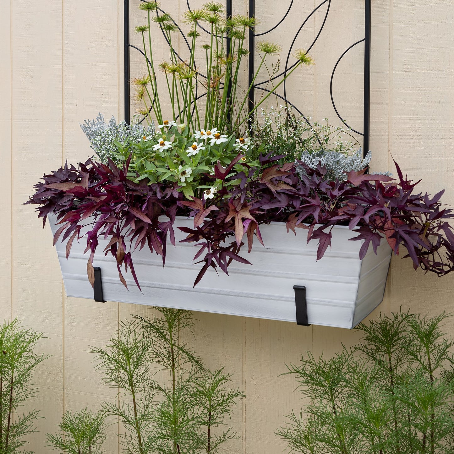ACHLA Large Flower Box with Wall Brackets | Cape Cod White Galvanized Steel and Black Wrought Iron | Front Porch & Balcony Planter | Model C-21W-WM