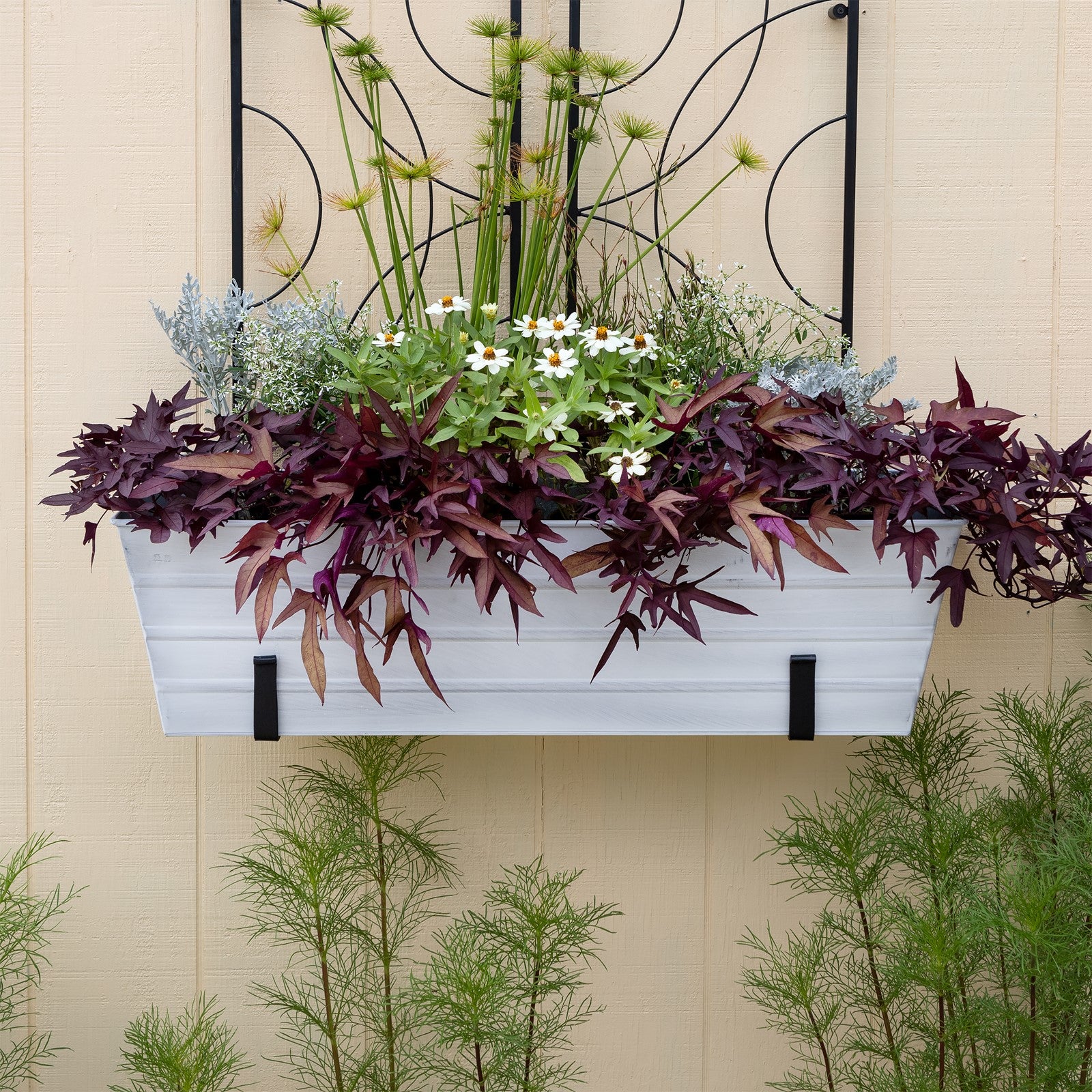 ACHLA Large Flower Box with Wall Brackets | Cape Cod White Galvanized Steel and Black Wrought Iron | Front Porch & Balcony Planter | Model C-21W-WM