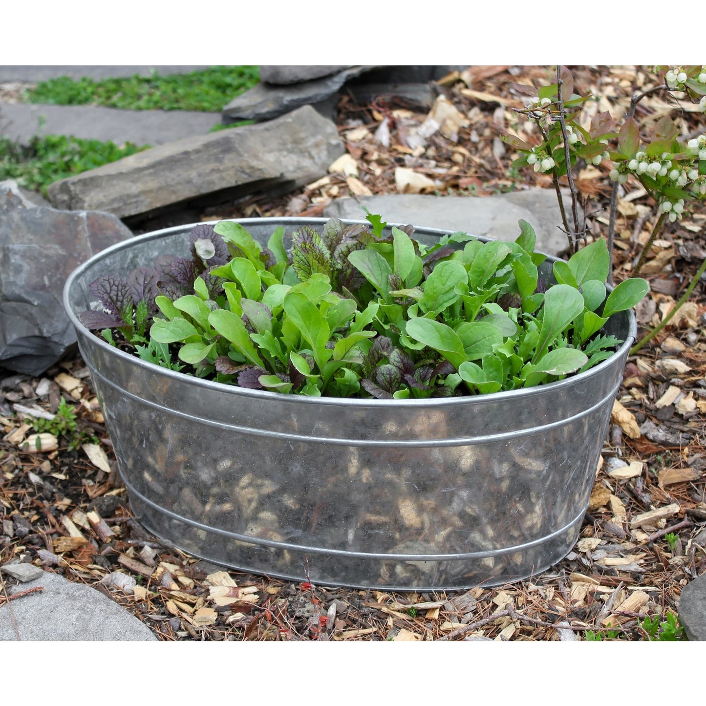 ACHLA Small Oval Galvanized Tub | Rustic Steel Ice Bucket & Planter | Patio & Garden Party | 11 x 16 x 7 in | Model C-51M
