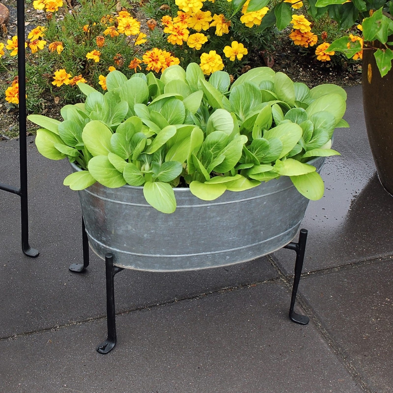 ACHLA Mini Oval Galvanized Tub with Folding Stand | Steel and Black Powdercoat Wrought Iron | Patio Beverage Chiller & Container | Model C-51M-S1